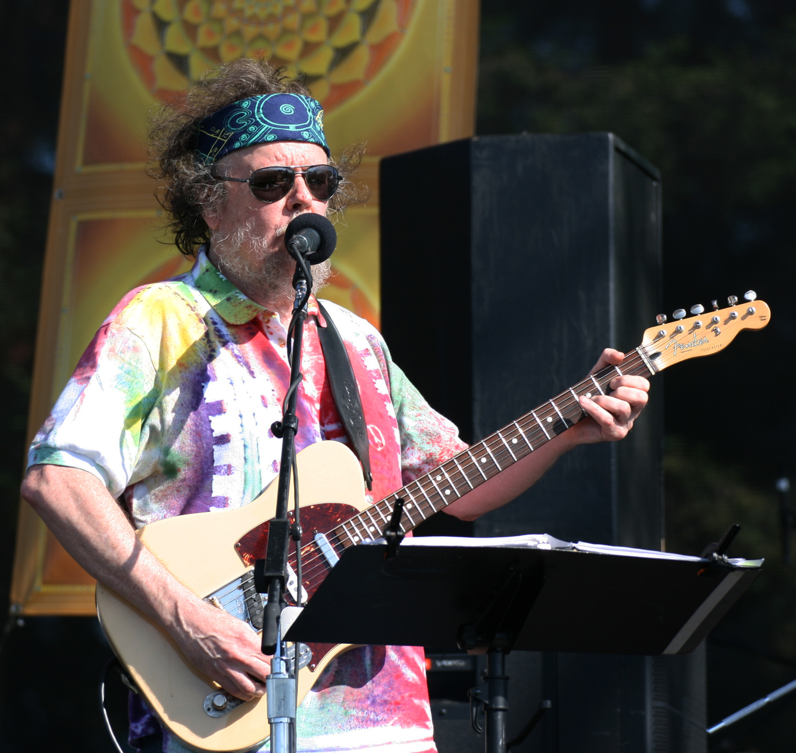 Guitarist David Nelson of New Riders of the Purple Sage, 2015.