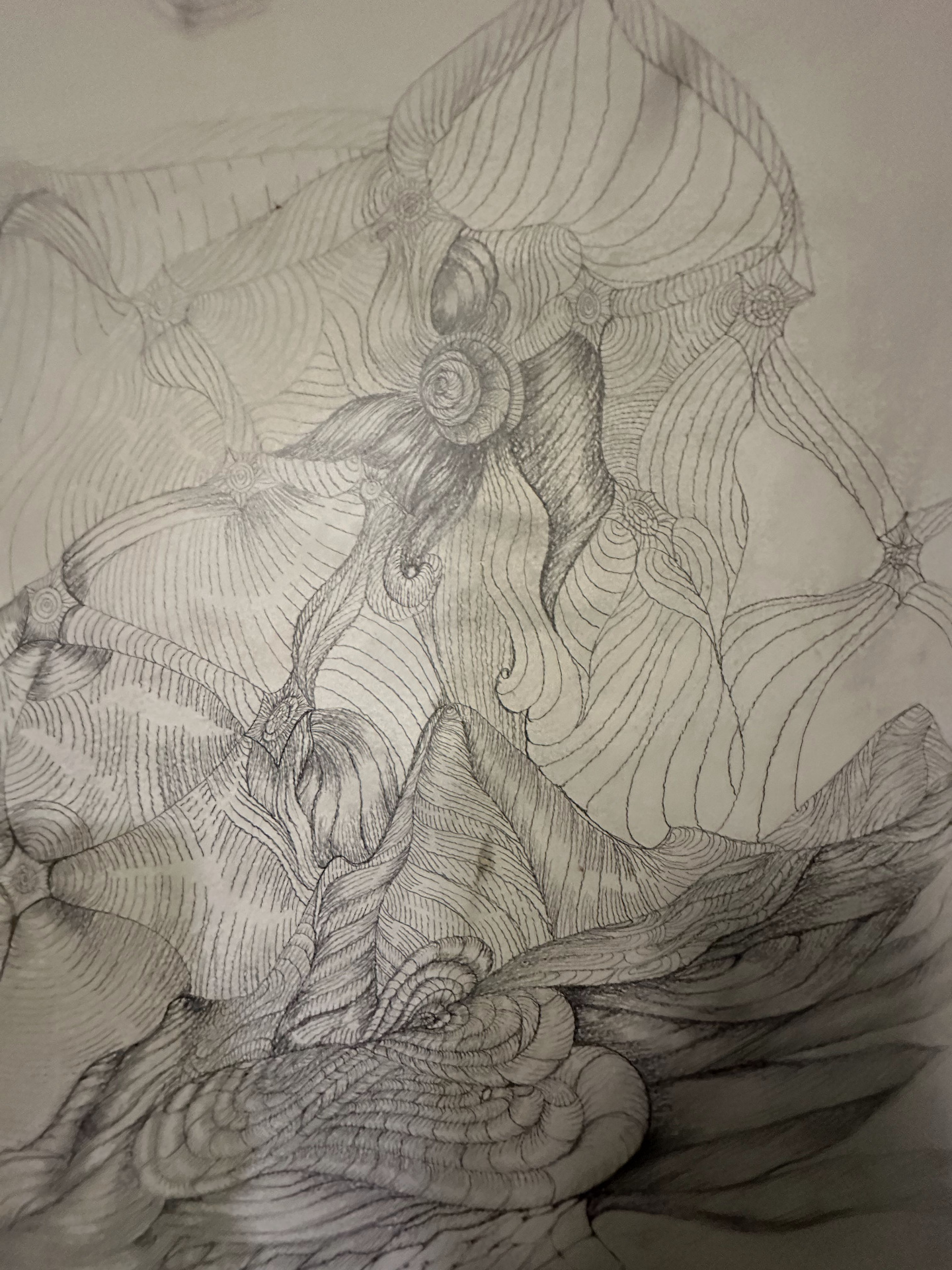 Delicate, fine-line pencil drawing of organic flowing forms and spirals on a studio wall.